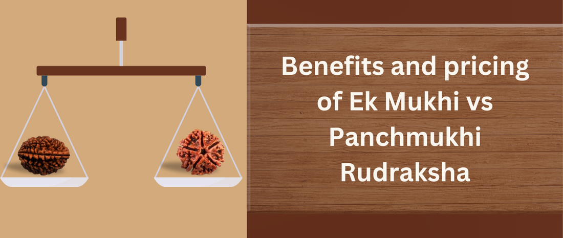 pricing of Ek Mukhi and Panchmukhi Rudraksha