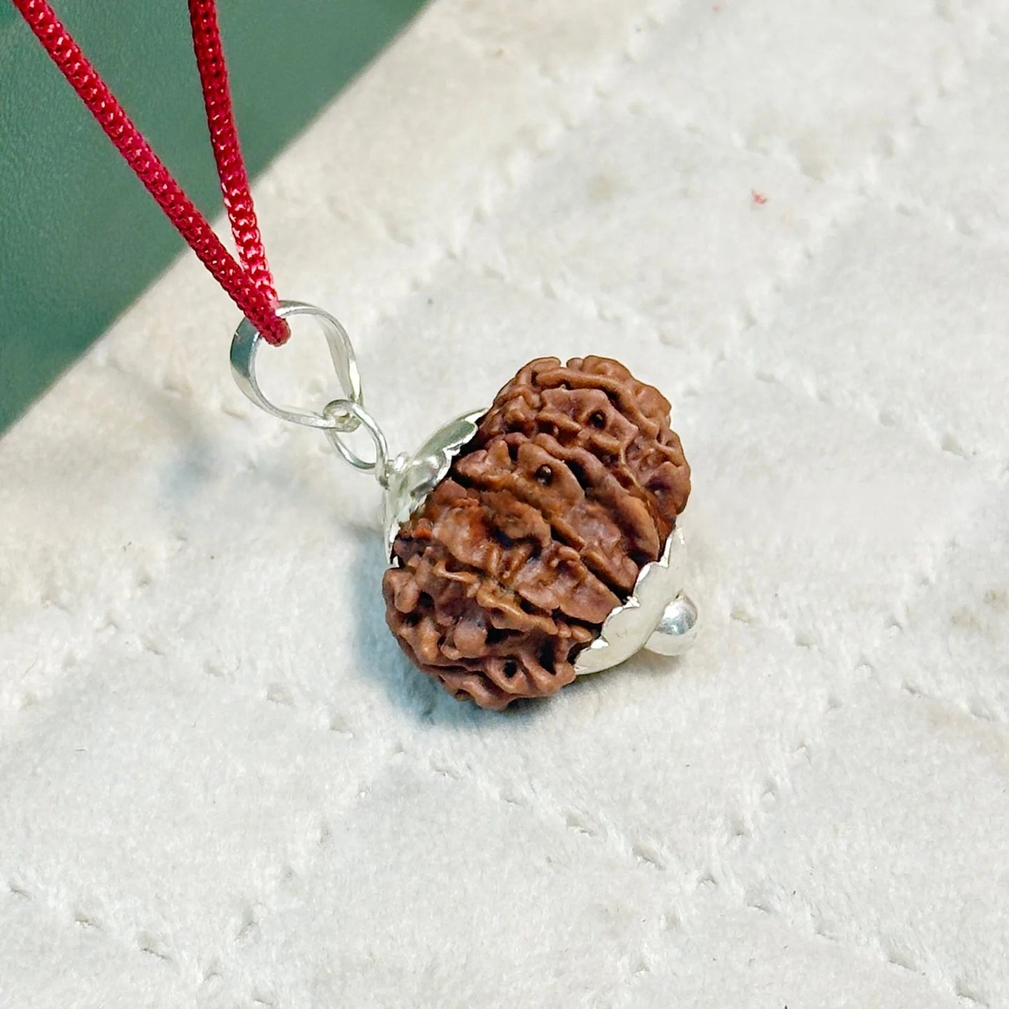 12 Mukhi Rudraksha (Nepali)