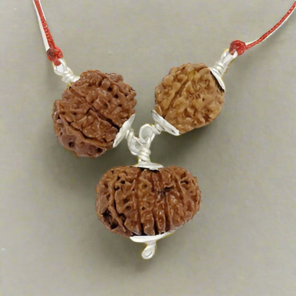 13, 8 And 3 Mukhi Rudraksha