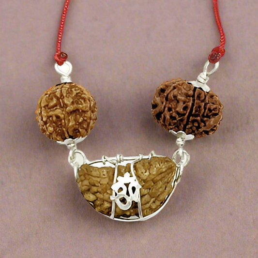 1, 7, and 8 Mukhi Nepal Rudraksha beads