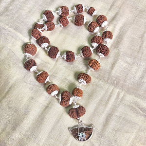 Rudraksha beads