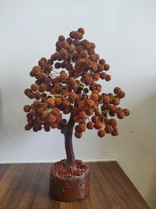 5 Mukhi Rudraksha Healing Tree