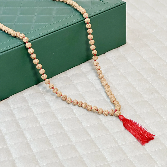 6 Mukhi Rudraksha Mala with 108 beads