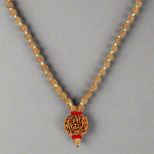 7 Mukhi Rudraksha mala