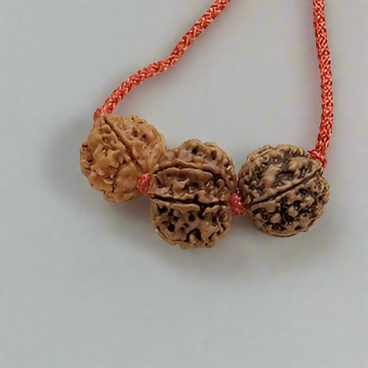 4 Mukhi Rudraksha Pendant