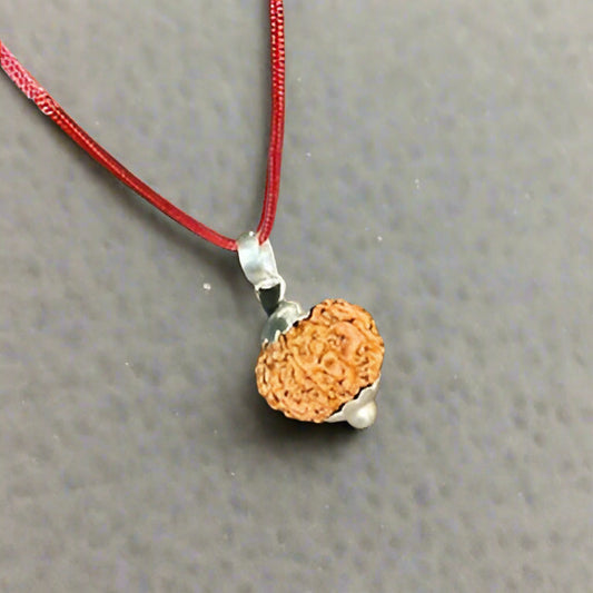8 Mukhi Rudraksha