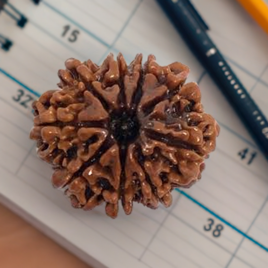 9 mukhi nepali rudraksha