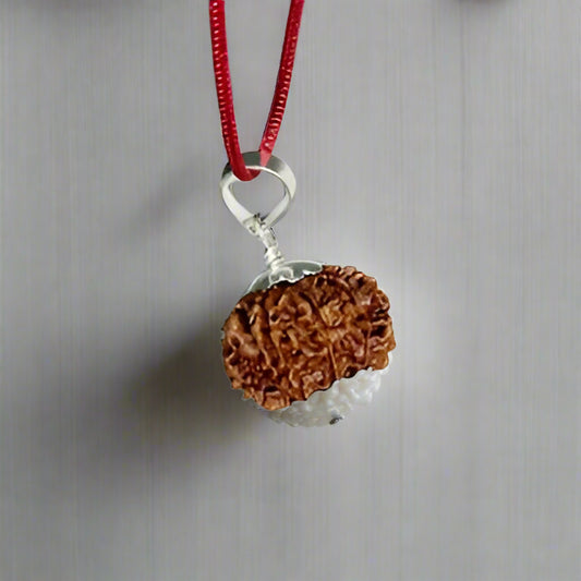 9 Mukhi Rudraksha