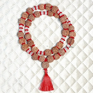 4 mukhi rudraksha beads