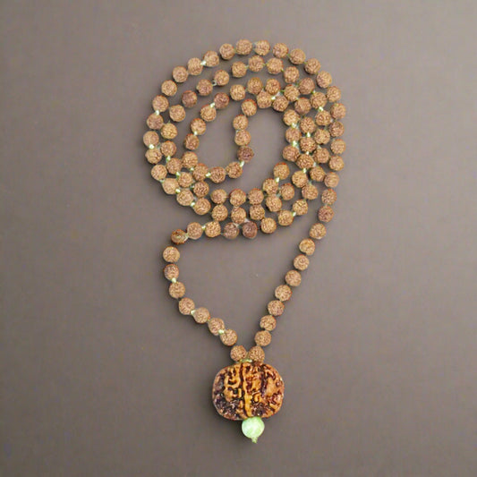 5 Mukhi rudraksha