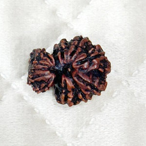 Rudraksha bead