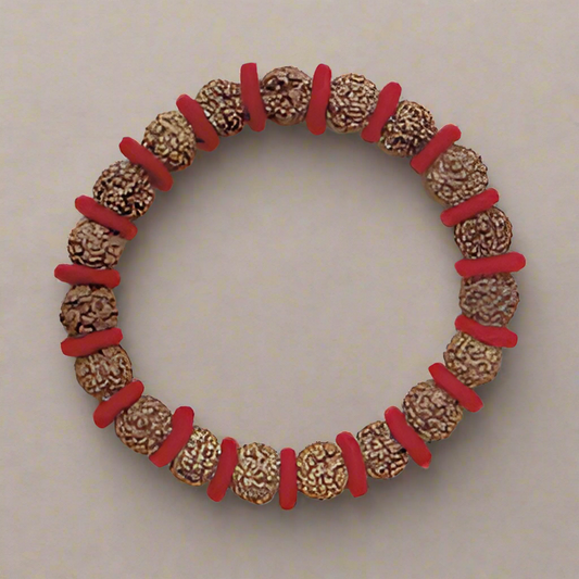 5-mukhi rudraksha