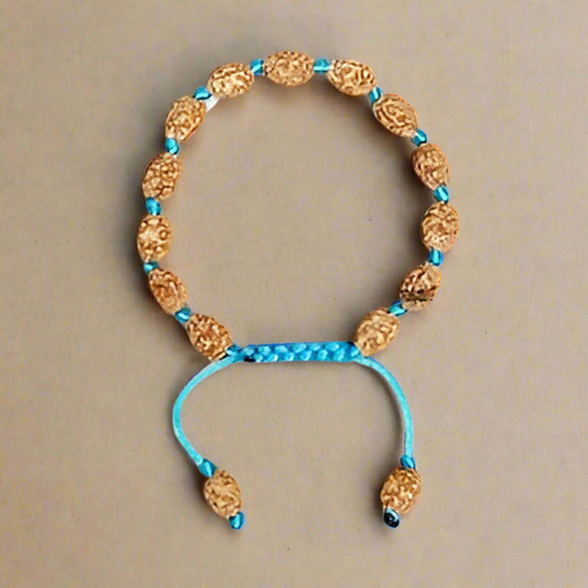 2 Mukhi Faced Original Rudraksha