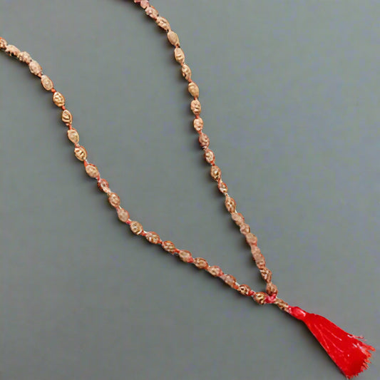 2 Mukhi Rudraksha Mala