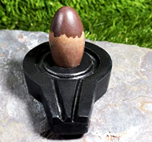 Narmadeshwar Shivling
