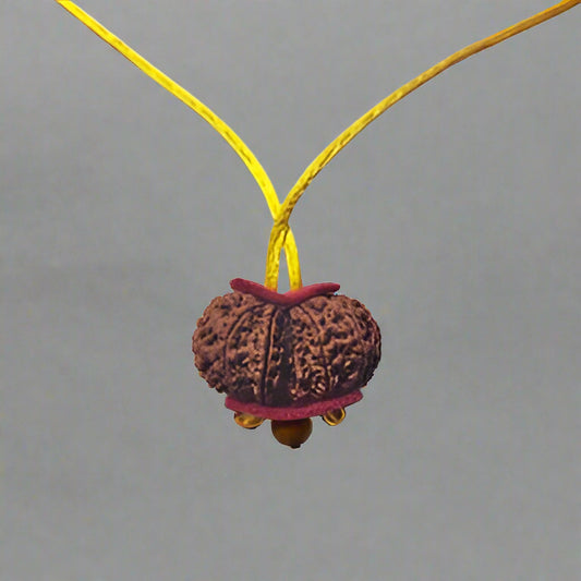 Nepal Gaurishankar Rudraksha pendant