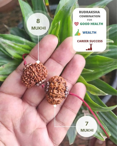 Rudraksha Mala