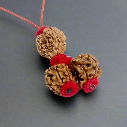 rudraksha pendant