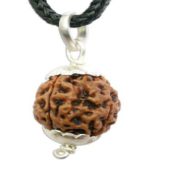 Buy 4 Mukhi Nepali Rudraksha Pendant