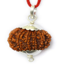11 Mukhi Nepali Rudraksha Pendant with silver cap