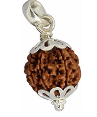 brown Rudraksha pendant