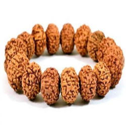 4 Mukhi Rudraksha Kantha