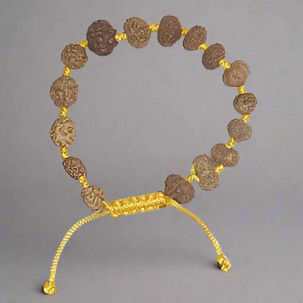 14 mukhi rudraksha
