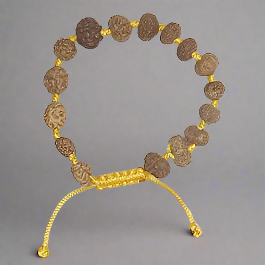14 mukhi rudraksha