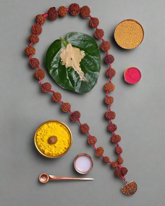 Siddha Mala Rudraksha