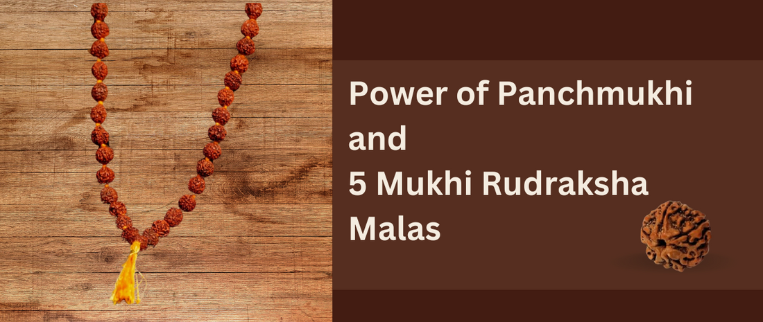 panchmukhi rudraksha mala benefits