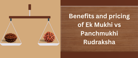 pricing of Ek Mukhi and Panchmukhi Rudraksha
