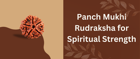 Panch Mukhi Rudraksha 
