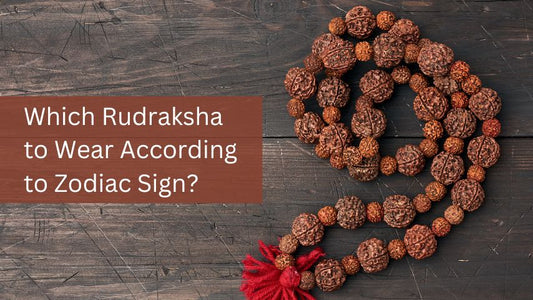 Which Rudraksha to Wear According to Zodiac Sign?