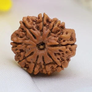 Buy Rudraksha Online