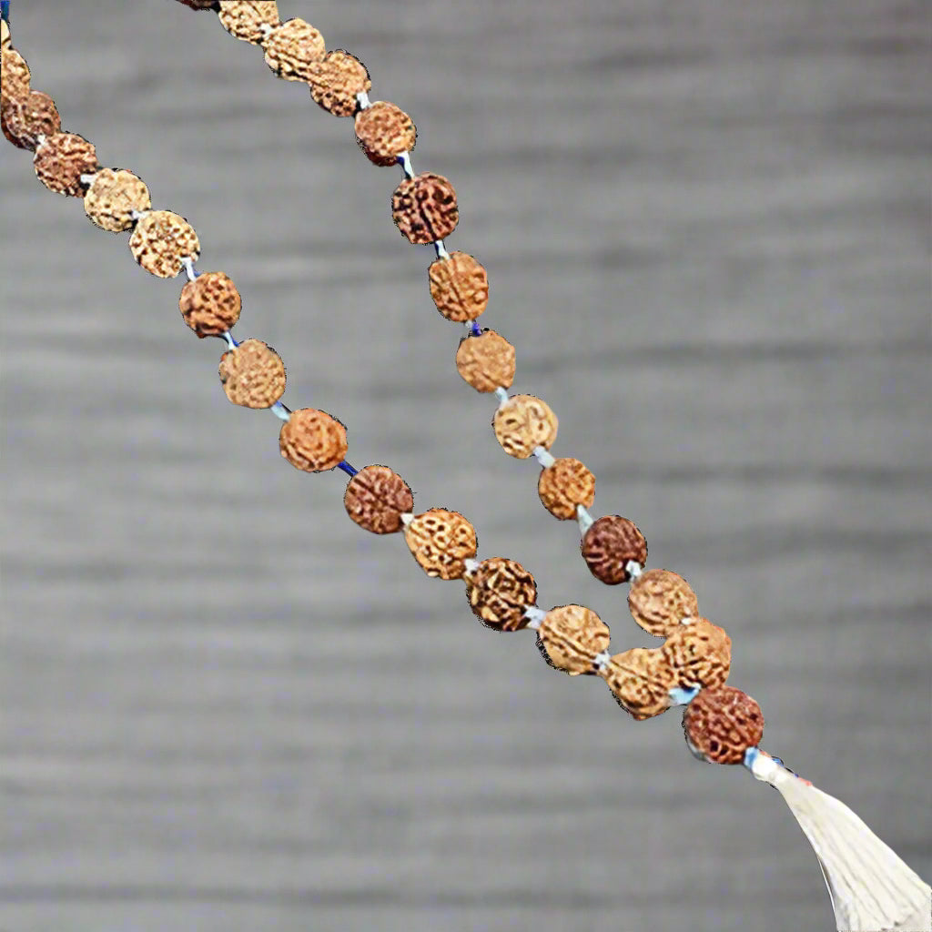 3 Mukhi Nepali Rudraksha