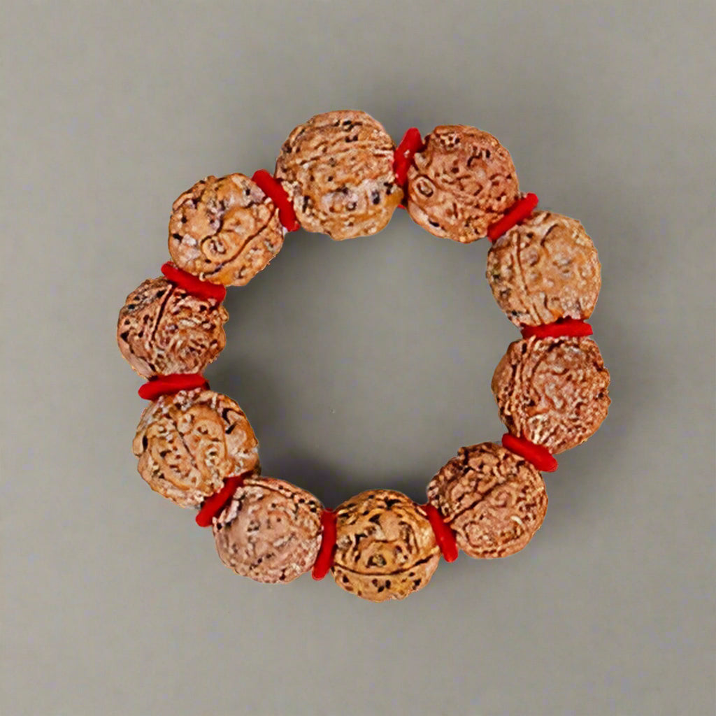 4 Mukhi Rudraksha Bracelet