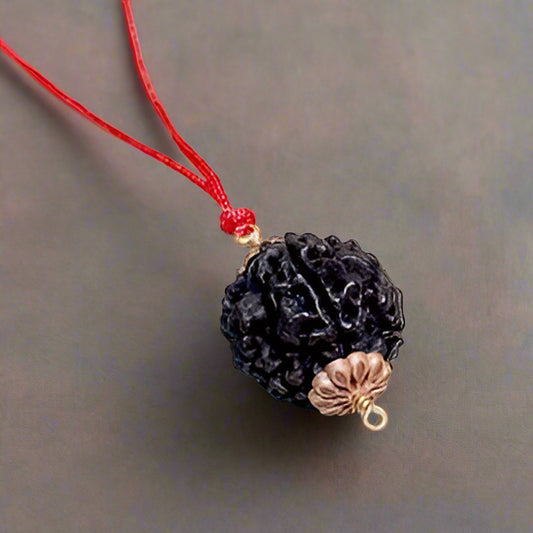 5 Mukhi Rudraksha