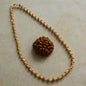 5 Mukhi Rudraksha