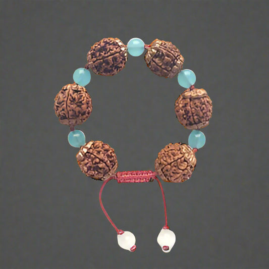 6 Mukhi Rudraksha