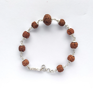 7 Mukhi Rudraksha