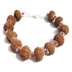 7 Mukhi Rudraksha Silver Bracelet