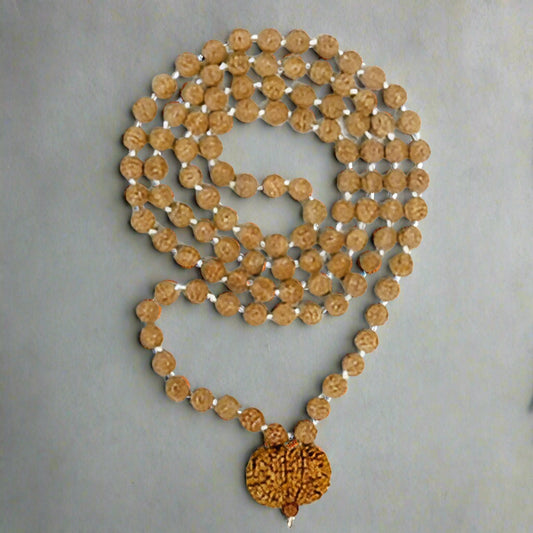 9 Mukhi Rudraksha Mala 
