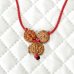 Combo Of 4 Mukhi With 6 Mukhi Rudraksha