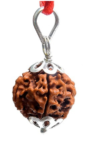  Rudraksha bead pendant
