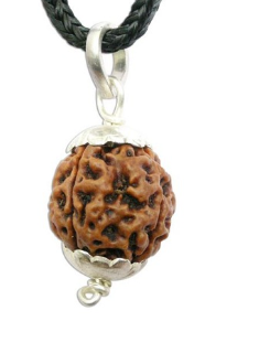 4 Mukhi Nepali Rudraksha Pendant