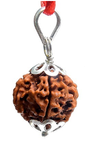 6 Mukhi Nepali Rudraksha Pendant