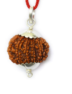 11 Mukhi Nepali Rudraksha Pendant