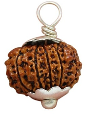 12 Mukhi Nepali Rudraksha Pendant