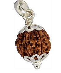 7 Mukhi Nepali Rudraksha Pendant