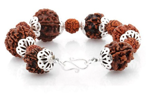 3, 5, 7, and 9 Mukhi Rudraksha Bracelet